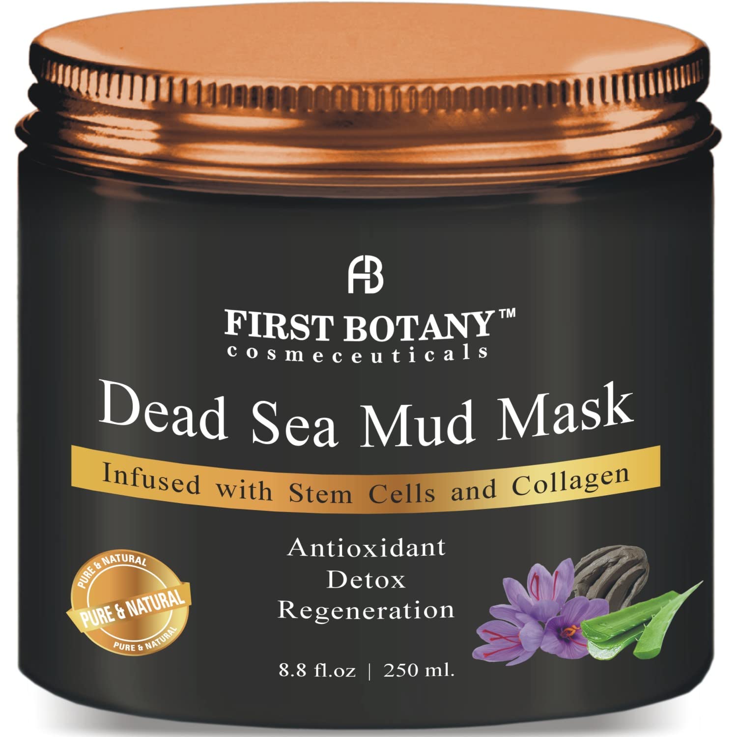 First Botany, 100% Natural Mineral-Infused Dead Sea Mud Mask